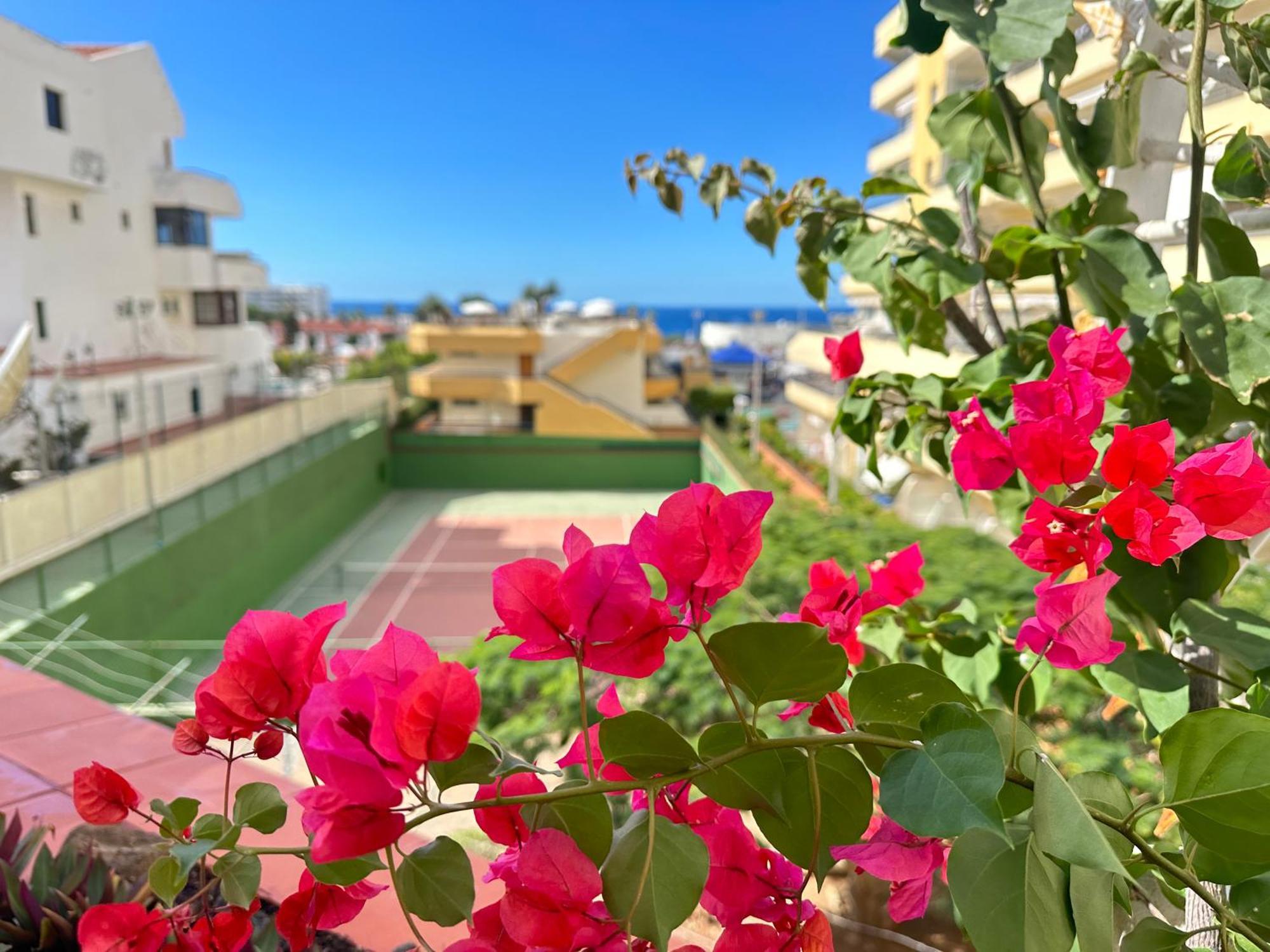 Apartment In Ocean Park, Costa Adeje, Tenerife Eksteriør billede